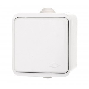 PRIZA PT SIMPLA CU CAPAC