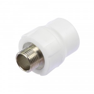 MUFA PPR FY40 FI FY40 FILET INT