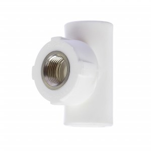 TEU PPR40 FI FY40