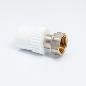 SEMIOLANDEZ PPR40